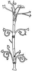 stromy3.jpg (4974 bytes)